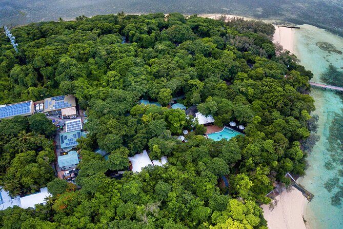 Snorkelling or Glass Bottom Boat at Green Island from Cairns - Final Thoughts: Who Will Love This Tour?