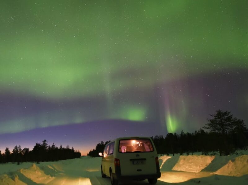 Snow Activities and reindeer feeding in nature - Final Thoughts: A Truly Special Arctic Experience