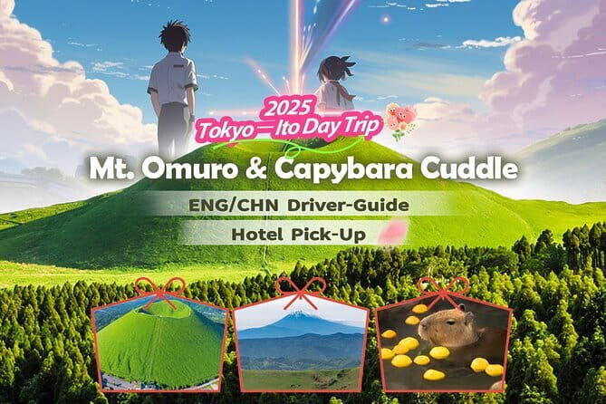 Snow Experience at Mt.Fuji, Hakone Pirate Ship & Gotemba Premium Outlet - Transportation & Practicalities