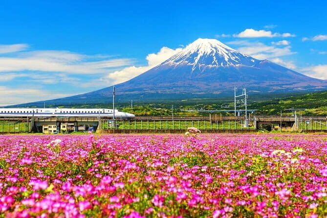 Snow Experience at Mt.Fuji, Hakone Pirate Ship & Gotemba Premium Outlet - Who Is This Tour Best For?