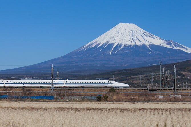 Snow Experience at Mt.Fuji, Hakone Pirate Ship & Gotemba Premium Outlet - FAQ