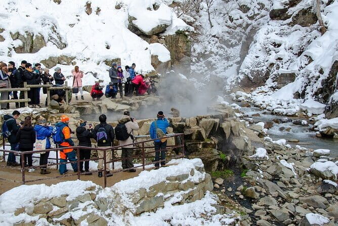 Snow Monkey and Obuse from Nagano - Key Points
