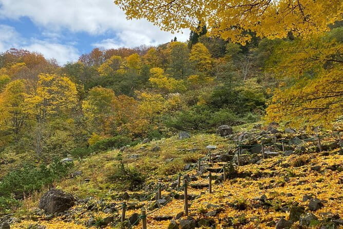 Snow Monkey and Shibu Onsen Afternoon Group Tour from Myoko Kogen - FAQ