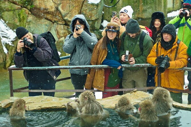 Snow Monkey, Hokusai & Sake: A Perfect Day in Nagano - Final Thoughts: Is It Worth Your Time?