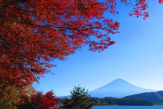Snow Monkey Park and Miso Production Tour Bullet Train from Tokyo - Final Thoughts