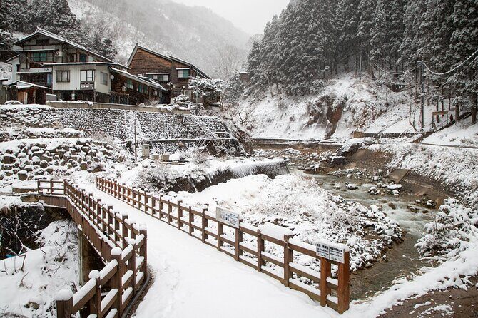 Snow Monkey, Zenko Ji Temple, Sake in Nagano Tour - Practical Insights and Value