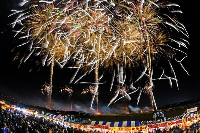 Snow Monkeys Park Tour and Ebisu-ko Fireworks Fest in Nagano - The Sum Up