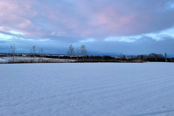 Snow View Sauna in Naganuma - Key Points