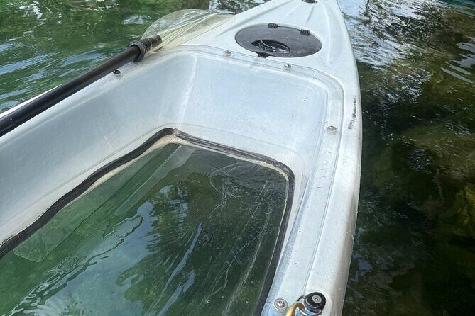 Snowbirds Paddle Club Guided Kayak and Paddleboard Sessions - Real Traveler Impressions