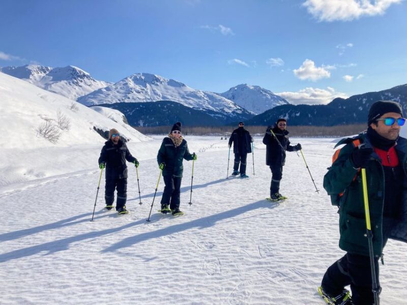 Snowmobile and Snowshoe Dual Adventure from Seward, AK - Scenic Vistas and Wildlife Watching