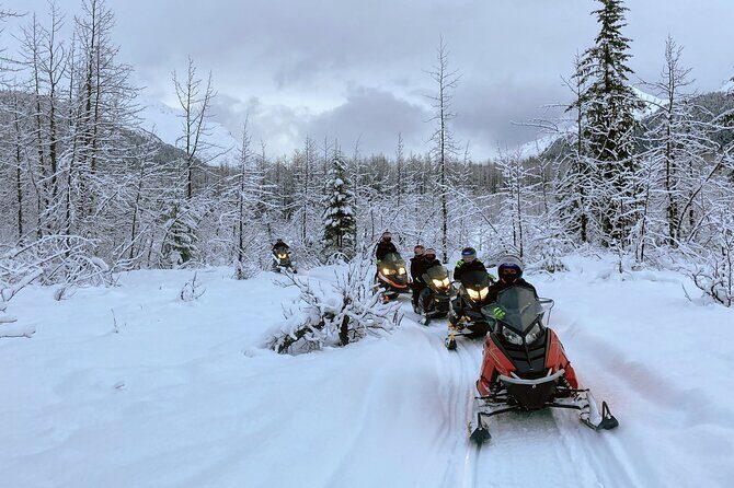 Snowmobile and Snowshoe Dual Adventure in Kenai Fjords NP - Value and Pricing