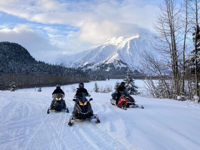 Snowmobile Classic Tour in Kenai Fjords National Park - Key Points
