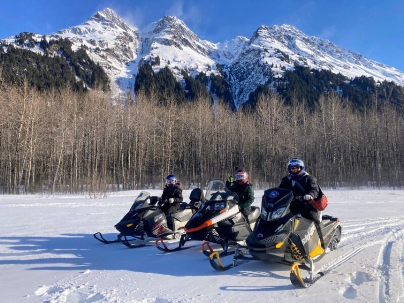 Snowmobile Classic Tour in Kenai Fjords National Park - Authenticity and Customer Experiences