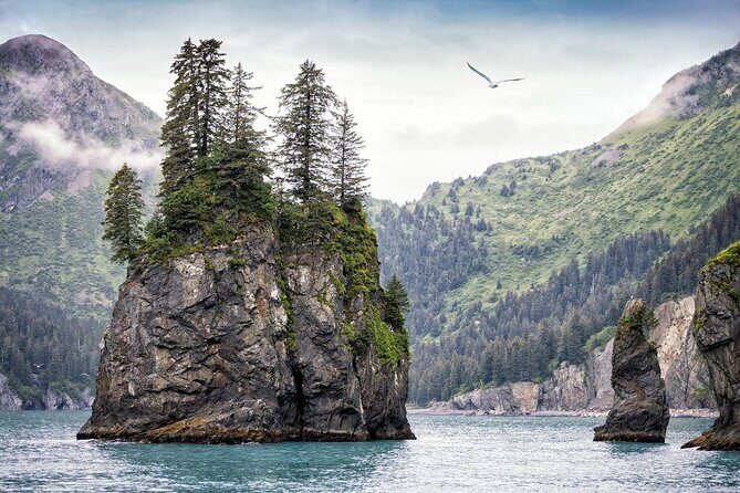 Snowmobile Classic Tour in Kenai Fjords National Park - Key Points
