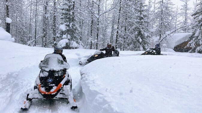 Snowmobile Classic Tour in Kenai Fjords National Park - Pricing and Value