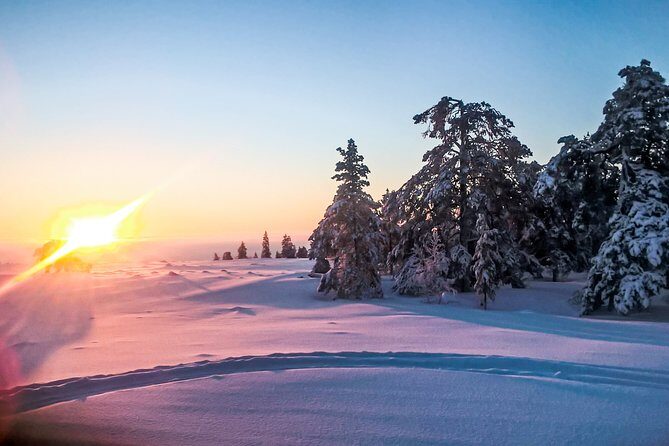 Snowmobile Safari in the Nature - FAQ