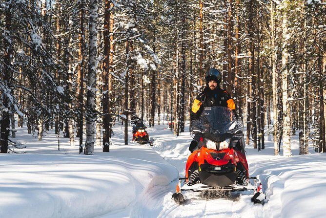 Snowmobile Safari into the Arctic Circle Forest - The Experience: What to Expect