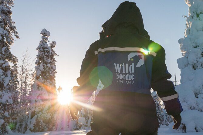Snowmobile Safari into the Arctic Circle Forest - What Sets This Tour Apart