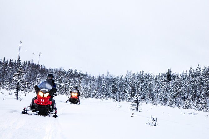 Snowmobile Safari on the Tundra - In-Depth Look at the Snowmobile Safari Experience