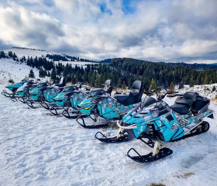 Snowmobile Tour In Bucegi Mountains - Key Points