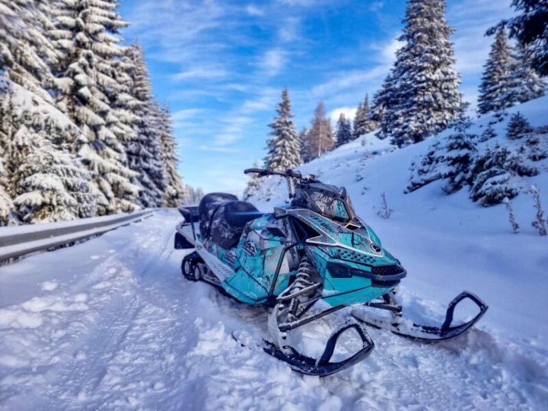 Snowmobile Tour In Bucegi Mountains - An In-Depth Look at the Snowmobile Experience