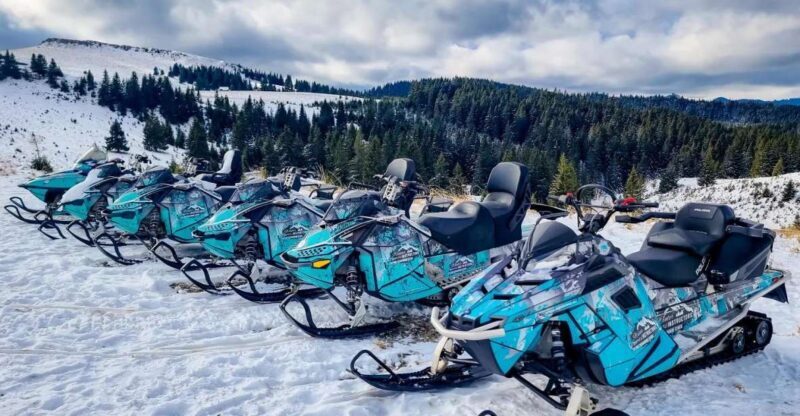 Snowmobile Tour In Bucegi Mountains - Practical Tips for Your Snowmobile Tour
