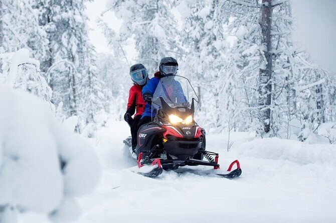 Snowmobile Tour with Small Group in Remote Wilderness 3 Hours - The Sum Up