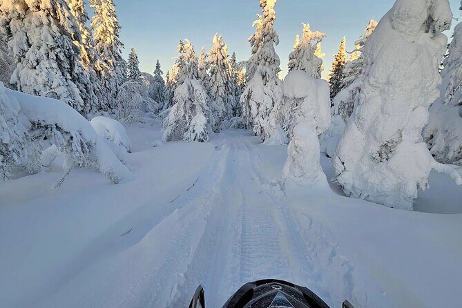 Snowmobile Tour with Small Group in Remote Wilderness 3 Hours - FAQs