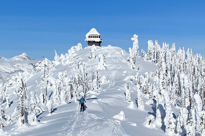Snowshoe and Scenic Drive Tour in Glacier National Park - Key Points