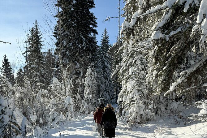 Snowshoe Day Tour In Glacier National Park - The Sum Up: Is It Worth It?
