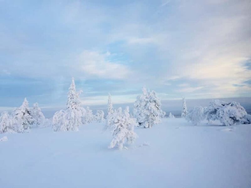 Snowshoe experience with traditional beverages in Lapland - Who Is This Tour Best For?