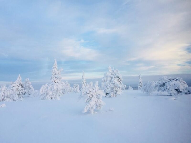 Snowshoe experience with traditional beverages in Lapland - The Sum Up: Who Will Love This Experience?