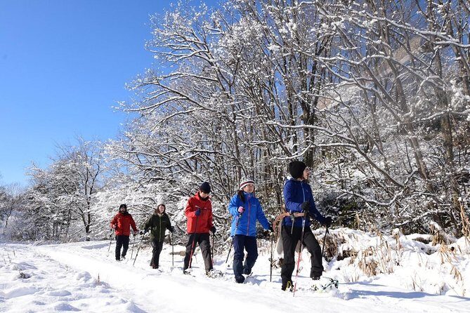 Snowshoe Hike Tour from Sapporo - A Deep Dive into the Snowshoe Hike Tour from Sapporo
