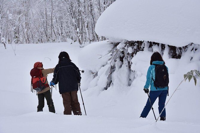 Snowshoe Hike Tour from Sapporo - Frequently Asked Questions