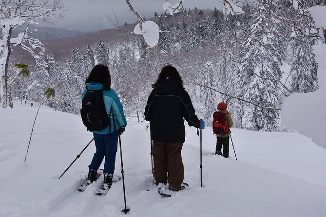 Snowshoe Hike Tour from Sapporo - Final Thoughts