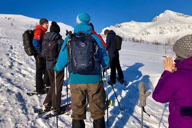 Snowshoe Hill Hike in Tromsø - Who Should Book This Tour?
