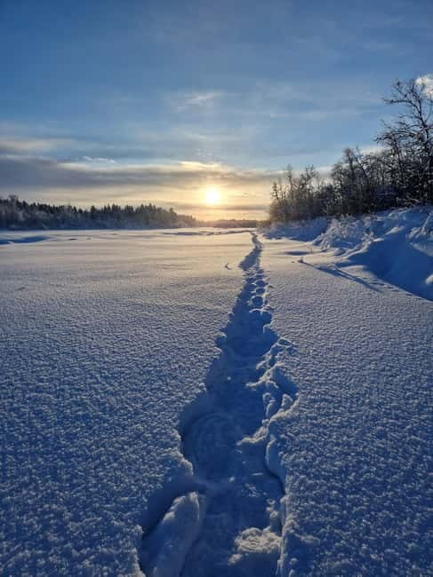 Snowshoe in a Winter Forest - An In-Depth Look at the Snowshoe Experience