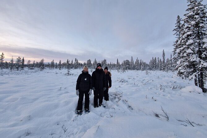 Snowshoe in a Winter Forest - Exploring the Arctic Beauty of Swedish Lapland