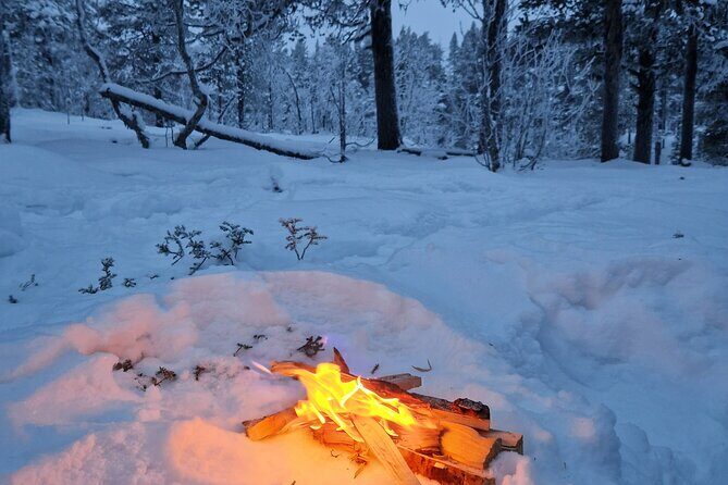 Snowshoe in a Winter Forest - FAQ