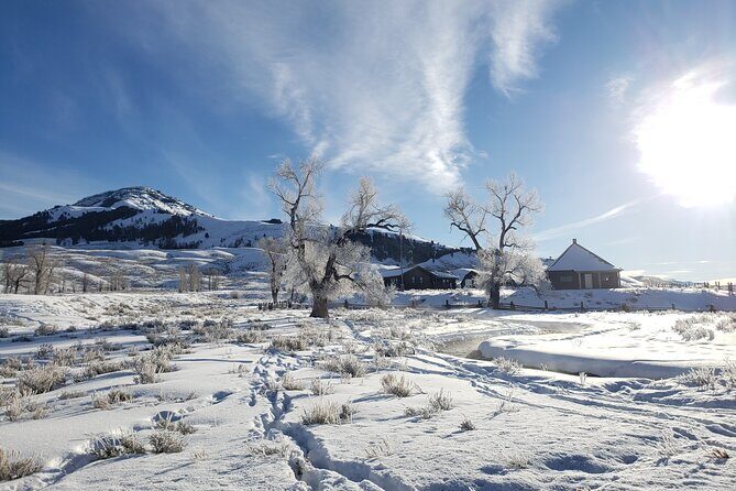 Snowshoe or XC Ski in North Yellowstone (Half Day) - Who Should Consider This Tour?