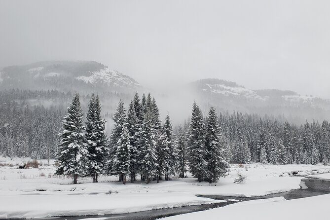 Snowshoe or XC Ski in North Yellowstone (Half Day) - Final Thoughts: Why This Tour Makes Sense