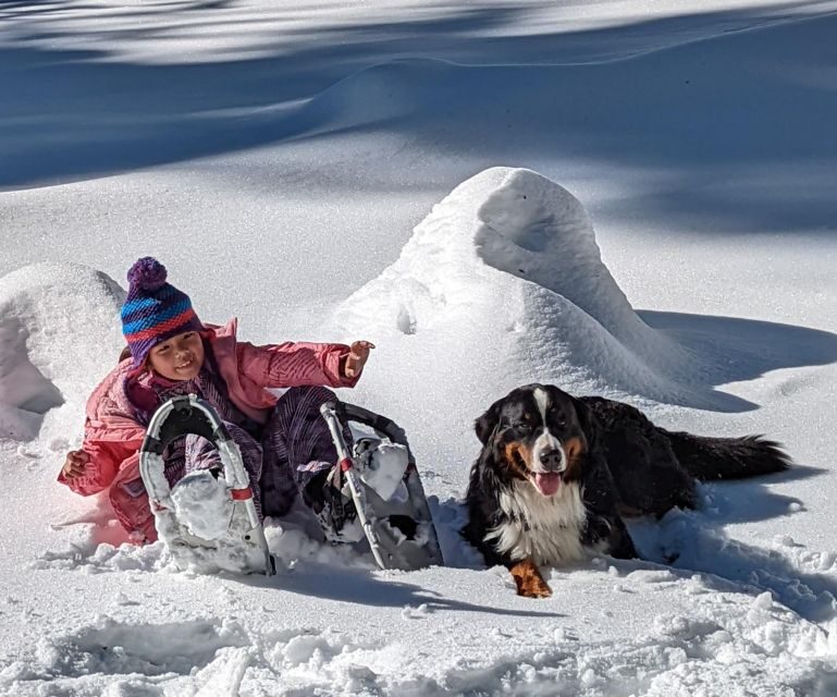 Snowshoe Rentals and Self Guided tour on Private Trails - An In-Depth Look at the Experience