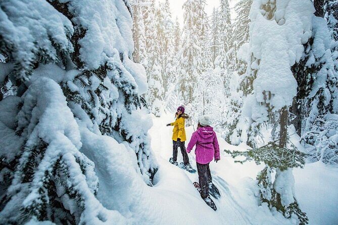 Snowshoe Rentals in South Lake Tahoe - What to Expect from a Typical Snowshoeing Day in Tahoe