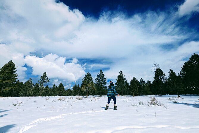 Snowshoe Tour Big Bear Lake with Hot Chocolate - Final Thoughts
