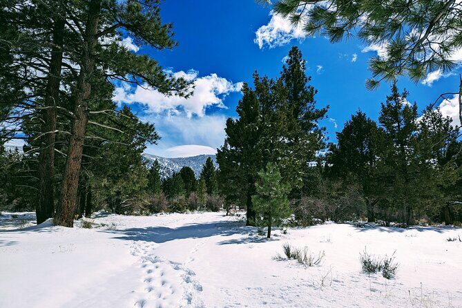 Snowshoe Tour Big Bear Lake with Hot Chocolate - Frequently Asked Questions