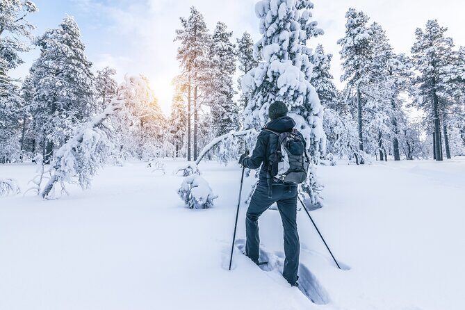 Snowshoe Tour in the Lake Tahoe Mountains - Snowshoe Tour in the Lake Tahoe Mountains: A Practical Guide to Exploring Winter’s Wonderland