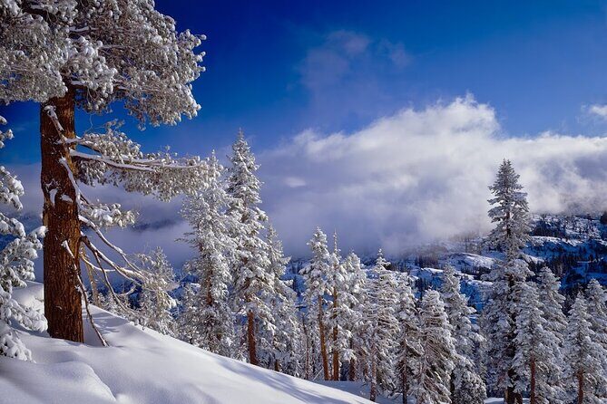 Snowshoe Tour in the Lake Tahoe Mountains - Practical Tips for Your Snowshoe Adventure