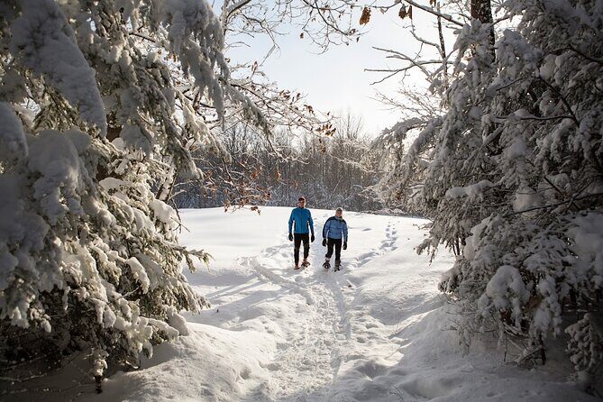 Snowshoe Tour in the Lake Tahoe Mountains - The Sum Up