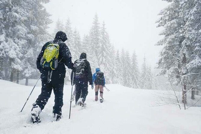 Snowshoe tour in Winter Wonderland - Oslo - Key Points