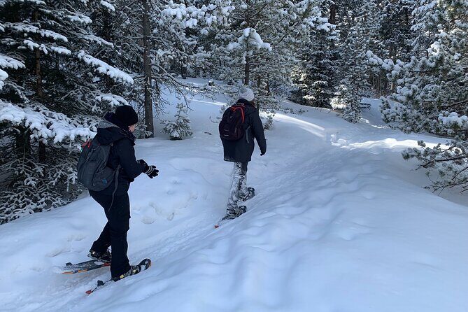 Snowshoeing Adventure in the Rocky Mountains Close to Denver - Key Points